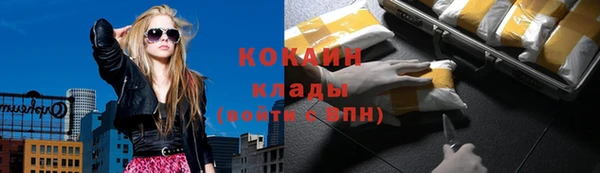 крисы Осташков